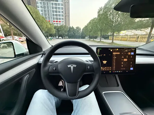 Tesla Model Y — Фото автомобиля 15