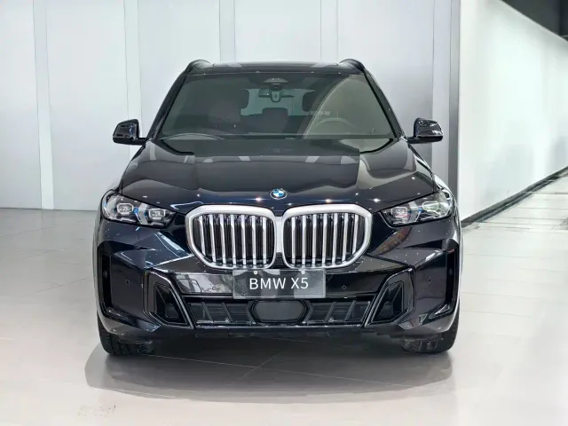 BMW X5 — Фото автомобиля 2