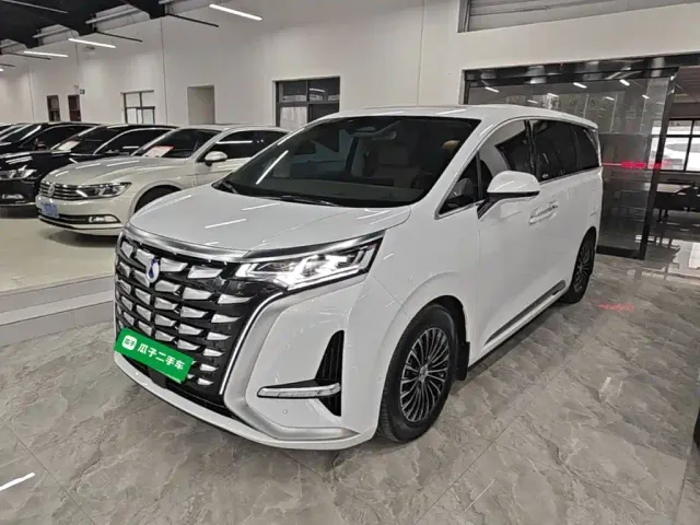 Фотография автомобиля — Denza D9