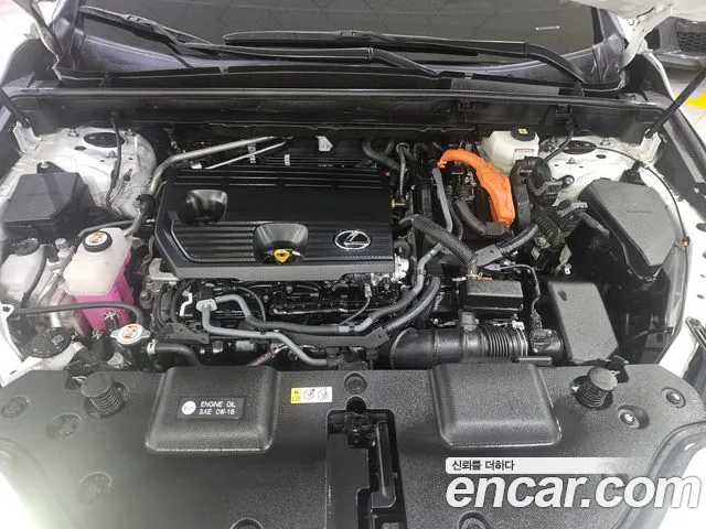Lexus NX — Фото автомобиля 6