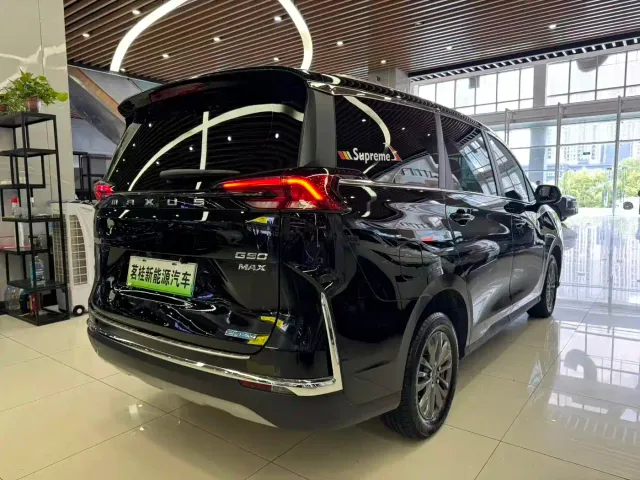 Maxus G50 PHEV — Фото автомобиля 13