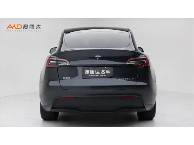 Tesla Model Y — Фото автомобиля 4