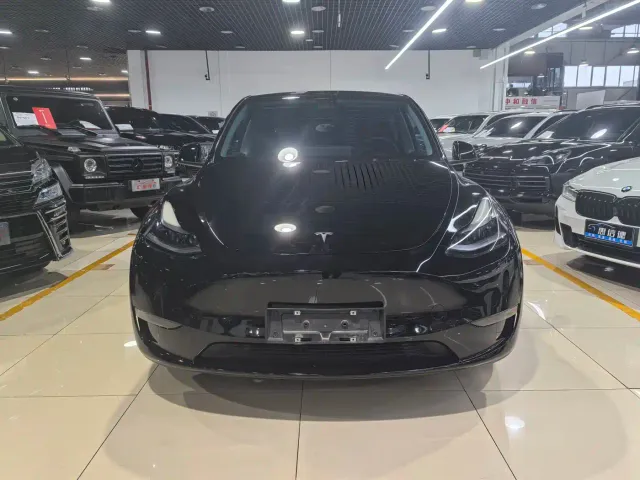 Tesla Model Y — Фото автомобиля 2