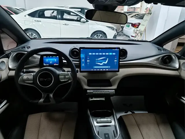 BYD Dolphin — Фото автомобиля 9