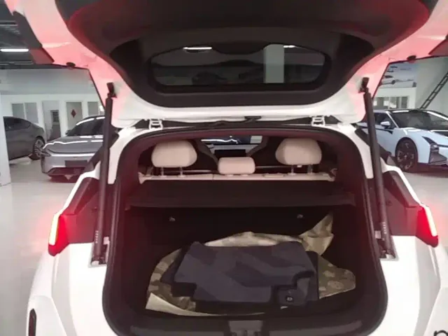 Zeekr X — Фото автомобиля 18