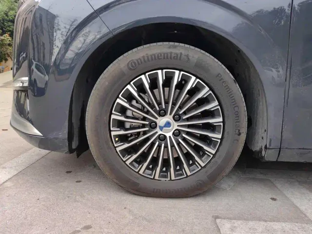 Denza D9 — Фото автомобиля 17