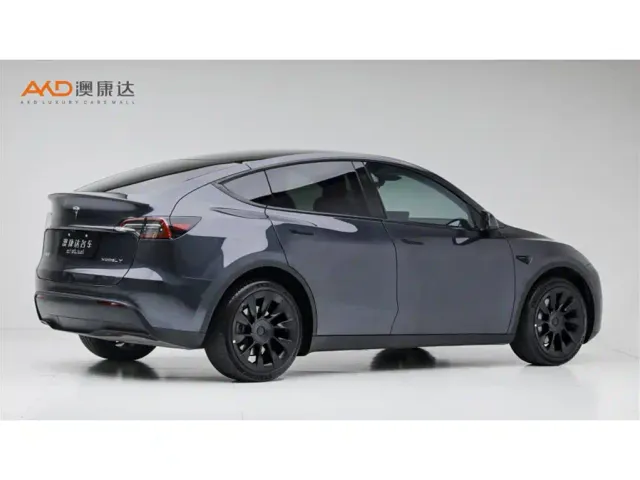 Tesla Model Y — Фото автомобиля 3