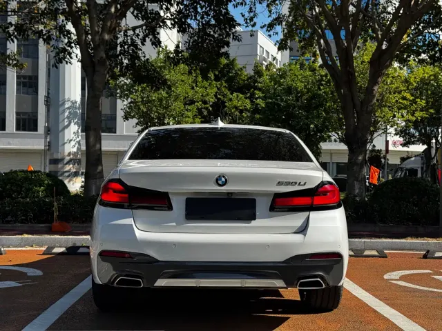 BMW 5 Series — Фото автомобиля 8