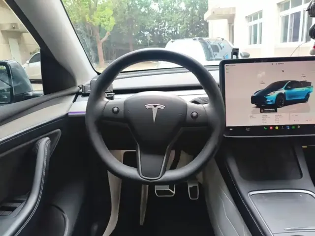 Tesla Model Y — Фото автомобиля 10