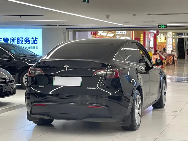 Tesla Model Y — Фото автомобиля 15