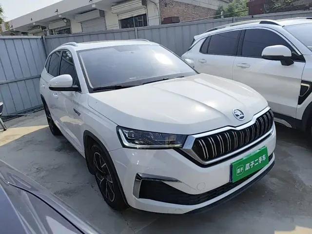 Skoda Kamiq — Фото автомобиля 3