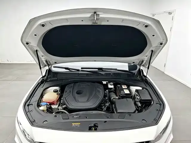 Geely Xingrui — Фото автомобиля 17
