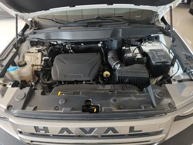 Haval Big Dog — Фото автомобиля 19