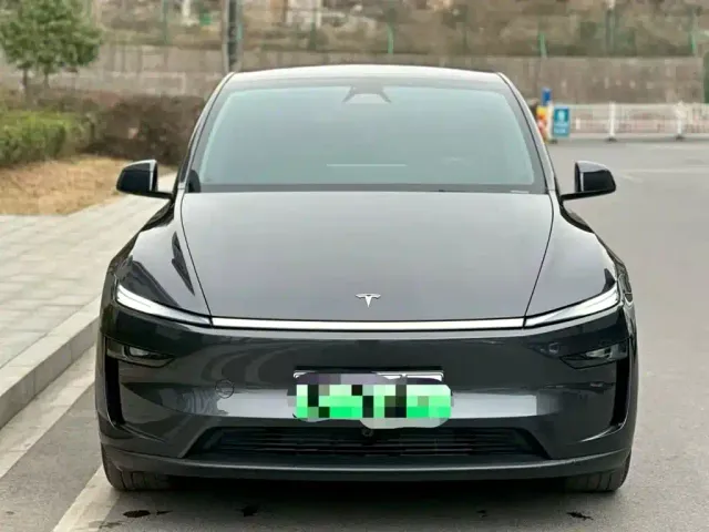 Tesla Model Y — Фото автомобиля 2