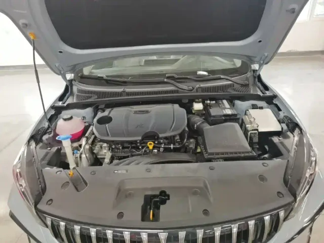 Geely Binrui — Фото автомобиля 19