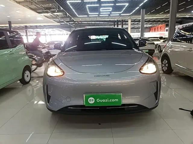 Geely Starry Wish — Фото автомобиля 2