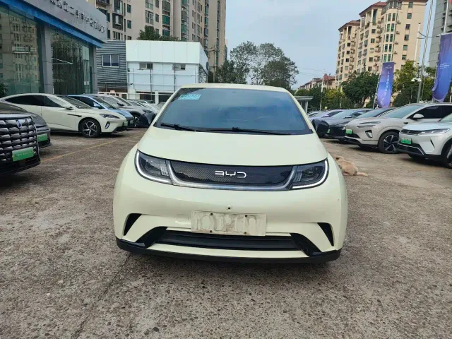 BYD Dolphin — Фото автомобиля 11