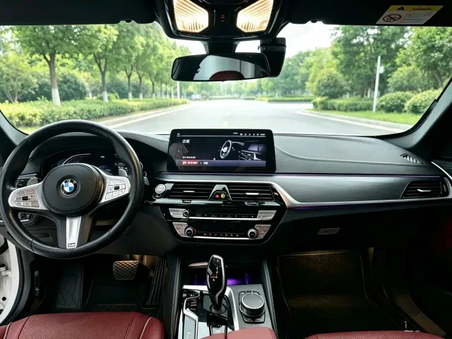 BMW 5 Series — Фото автомобиля 5