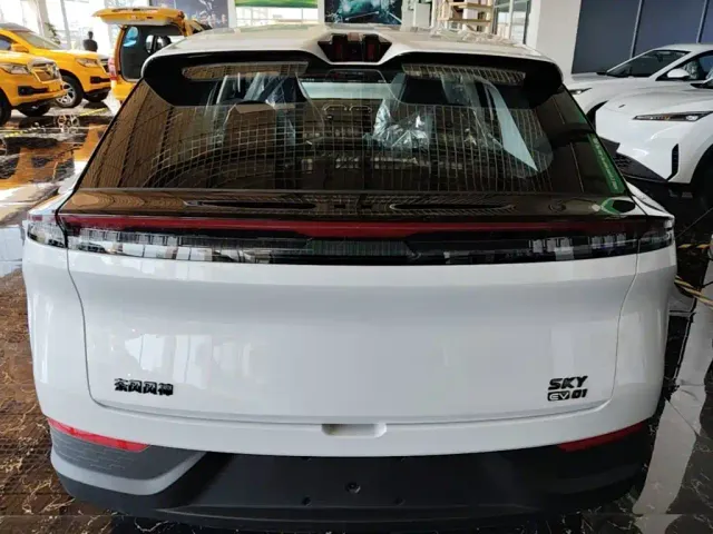 Dongfeng SKY EV01 — Фото автомобиля 5