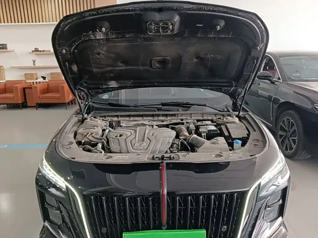 Hongqi H5 — Фото автомобиля 19