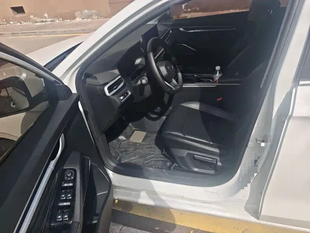 Geely Emgrand — Фото автомобиля 17