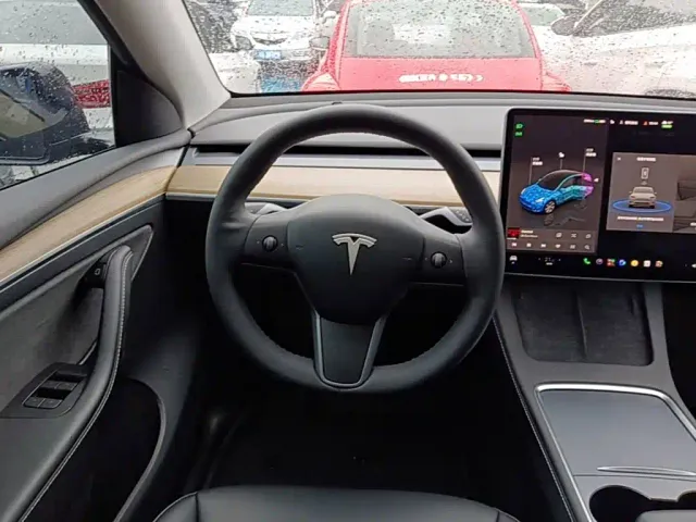 Tesla Model Y — Фото автомобиля 10