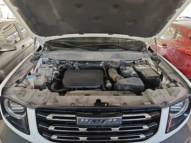 Haval Big Dog — Фото автомобиля 19