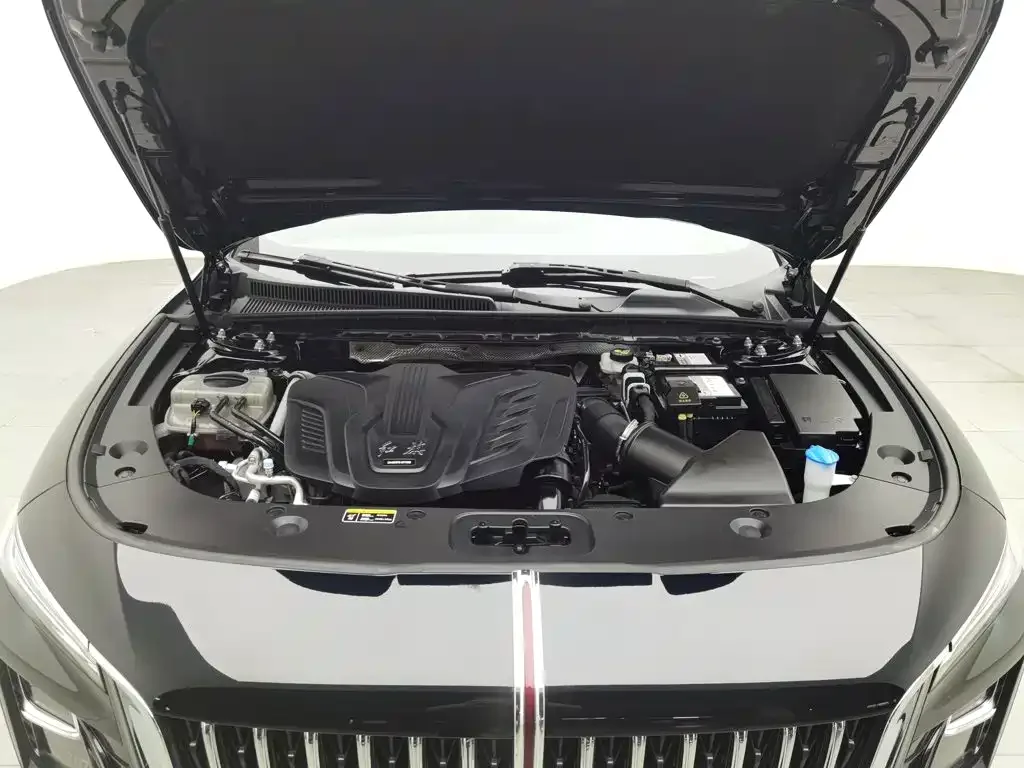 Hongqi Hongqi H5 2024 1.5T DCT Smart Connect Flag Rhythm Edition — Фото автомобиля 6