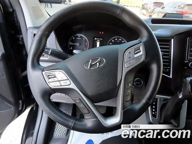 Hyundai Solati — Фото автомобиля 12