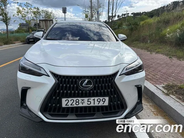 Lexus NX NX450h+ 2nd Gen — Фото автомобиля 2