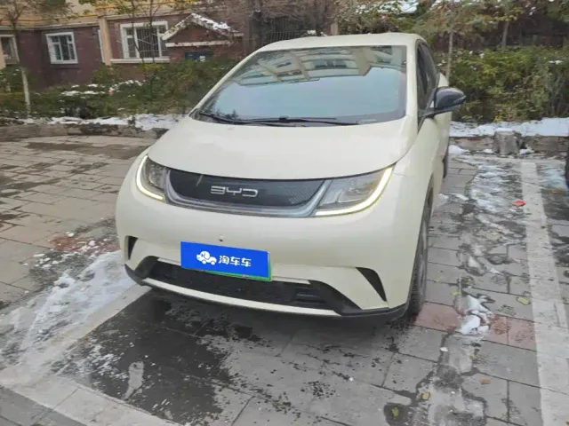 BYD Dolphin — Фото автомобиля 2