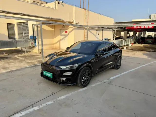 Ford Mustang Mach-E — Фото автомобиля 2