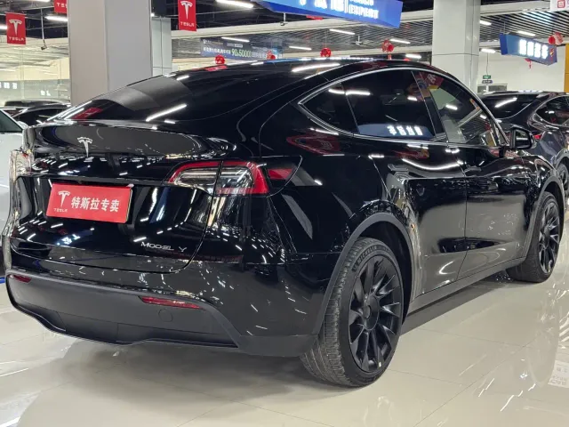 Tesla Model Y — Фото автомобиля 9