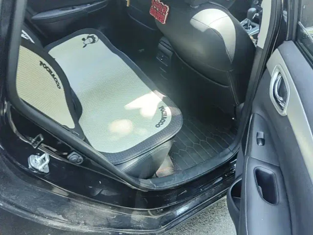 Nissan Sylphy — Фото автомобиля 11