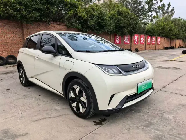 BYD Dolphin — Фото автомобиля 3