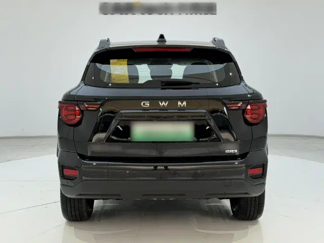 Haval Big Dog — Фото автомобиля 7