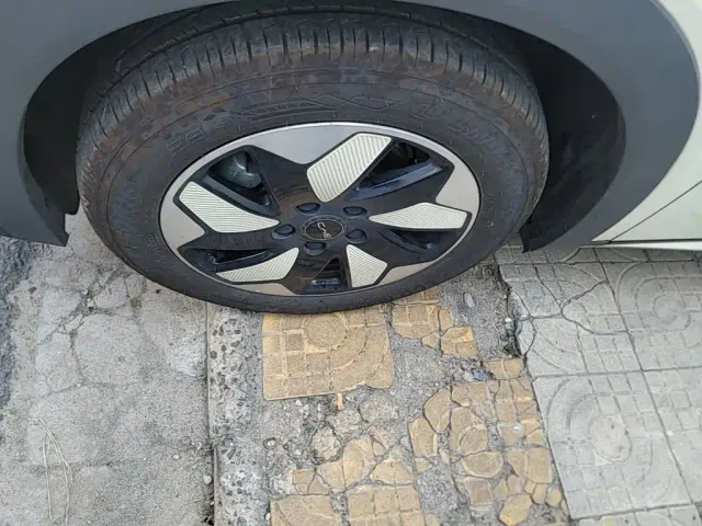 BYD Dolphin — Фото автомобиля 22