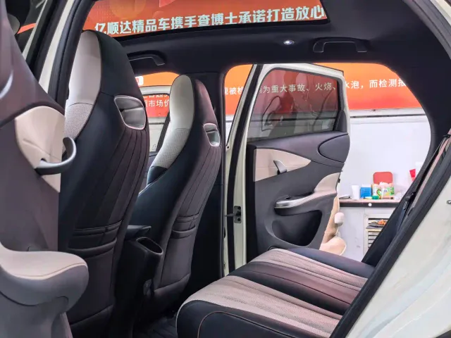 BYD Dolphin — Фото автомобиля 4