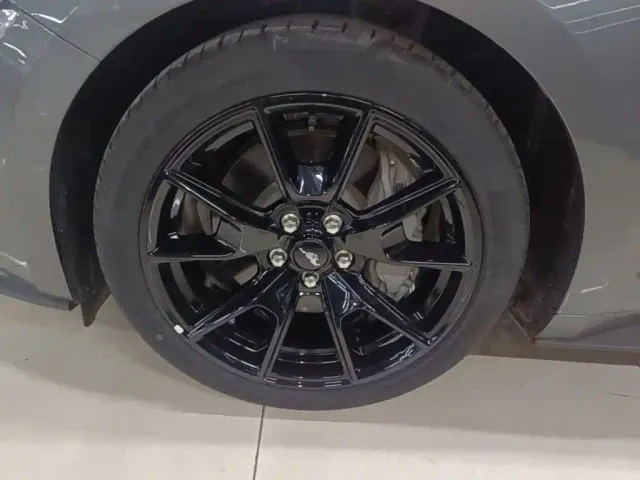 Ford Mustang — Фото автомобиля 22