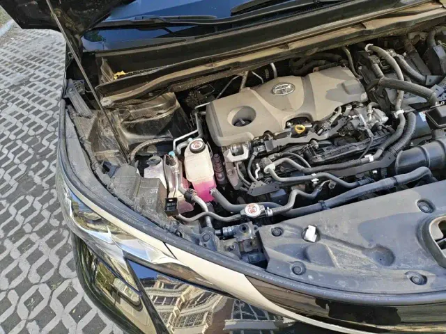 Toyota Sienna — Фото автомобиля 18