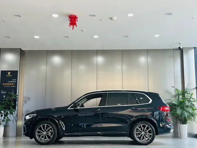 BMW X5 — Фото автомобиля 9