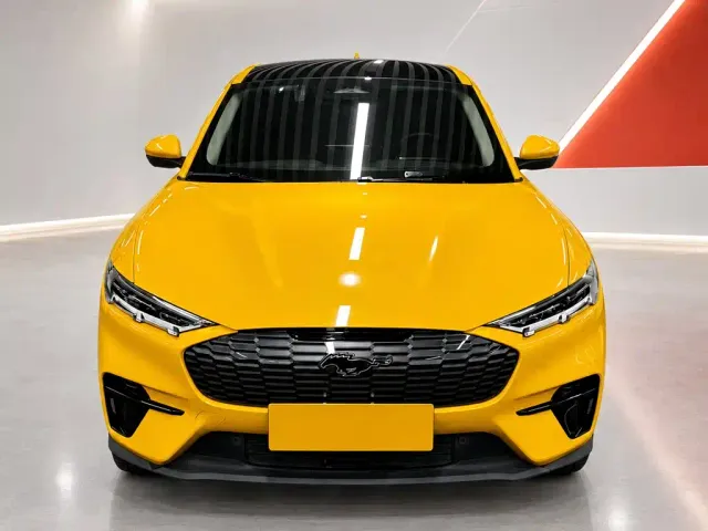 Ford Mustang Mach-E — Фото автомобиля 2