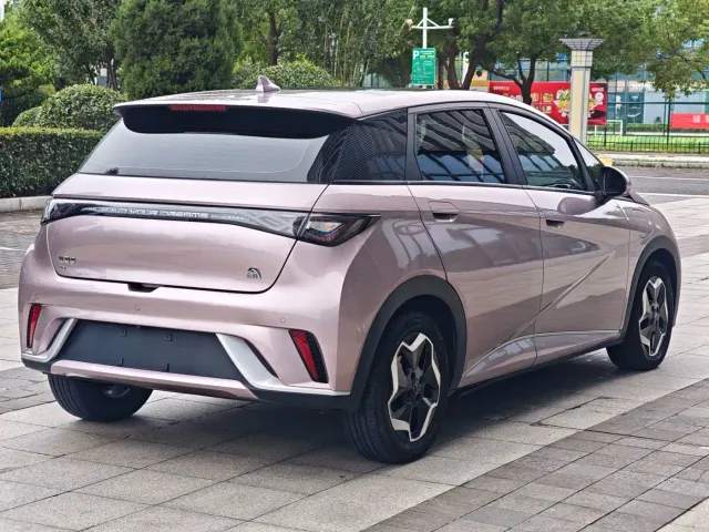 BYD Dolphin — Фото автомобиля 10