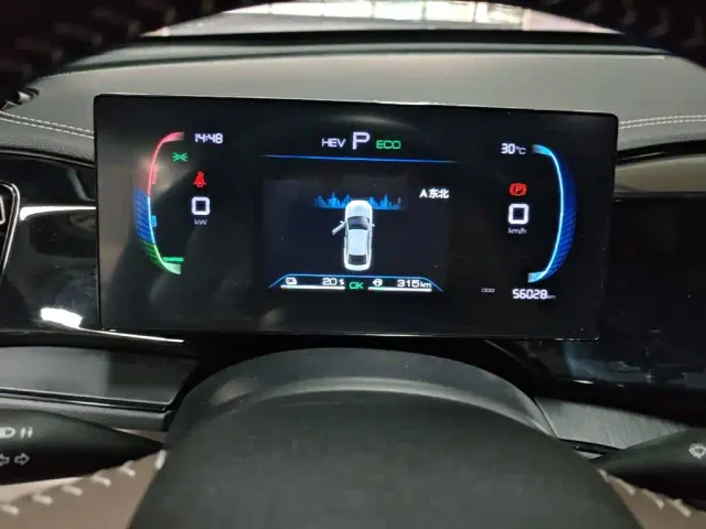 BYD Qin PLUS — Фото автомобиля 11