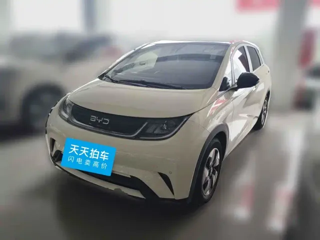 Фотография автомобиля — BYD Dolphin