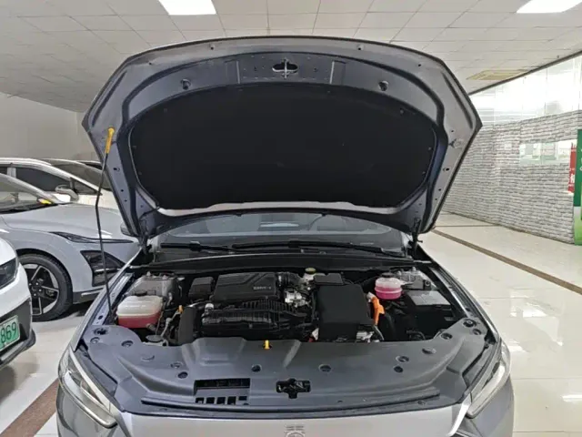 BYD Qin PLUS — Фото автомобиля 19