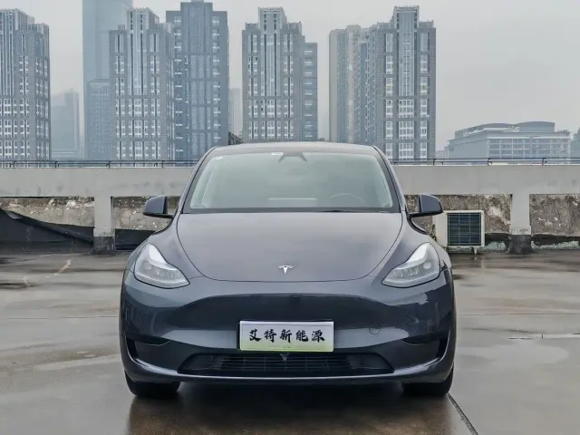 Tesla Model Y — Фото автомобиля 2