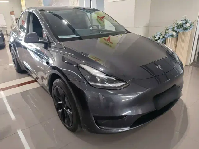 Tesla Model Y — Фото автомобиля 3
