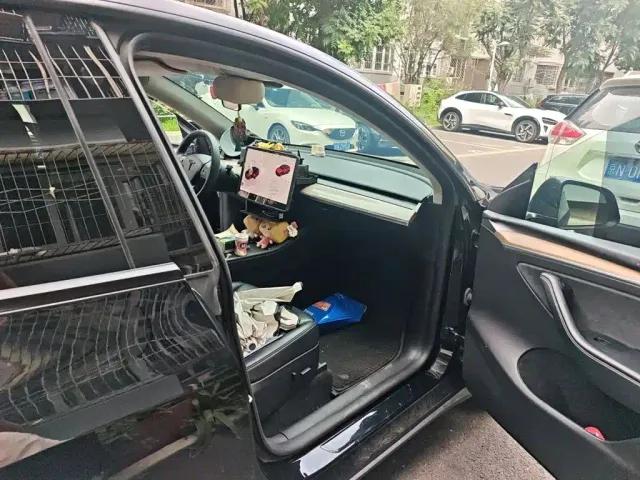Tesla Model Y — Фото автомобиля 17