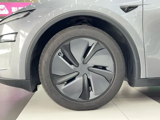 Tesla Model Y — Фото автомобиля 10